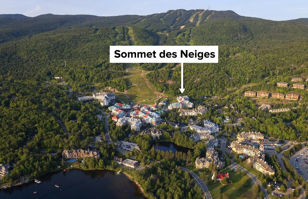 Sommet Des Neiges-1